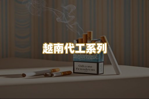 越南代工系列
